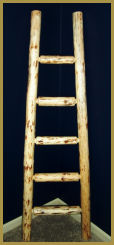 Log Kiva Ladder